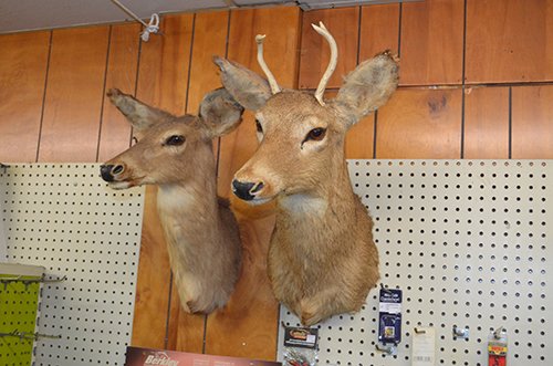Property photo 13 - PERSONAL PROPERTY AUCTION, Smokeys Landing Inventory & Personal Property